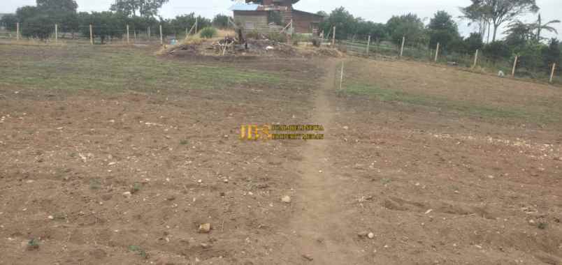 dijual tanah jalan kebun bunga dolat