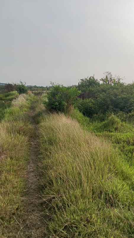 dijual tanah jalan raya urip sumoharjo