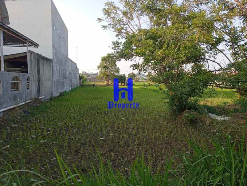 dijual tanah jalan sukarela timur jalan