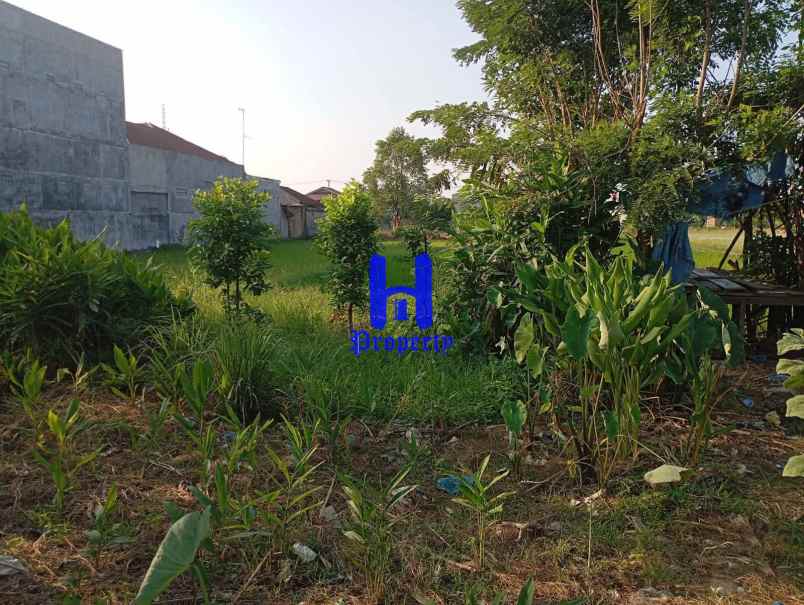dijual tanah jalan sukarela timur jalan