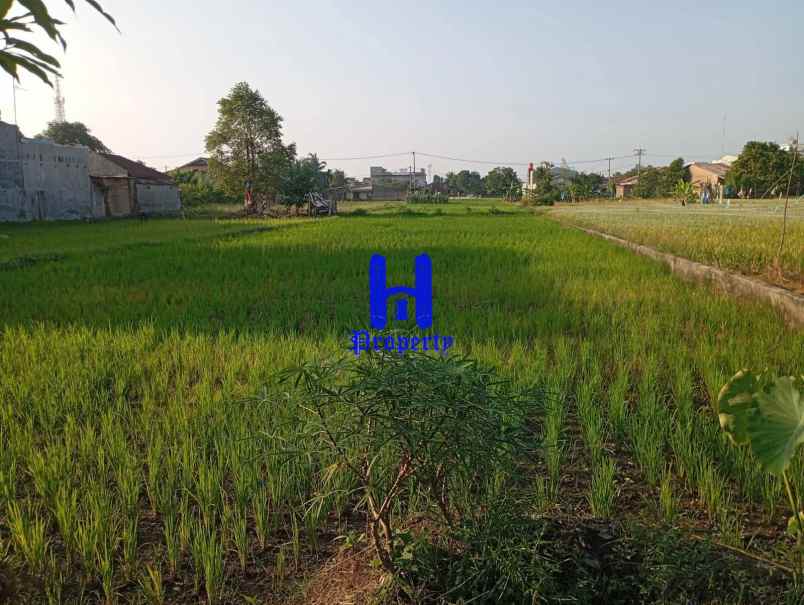 dijual tanah jalan sukarela timur jalan