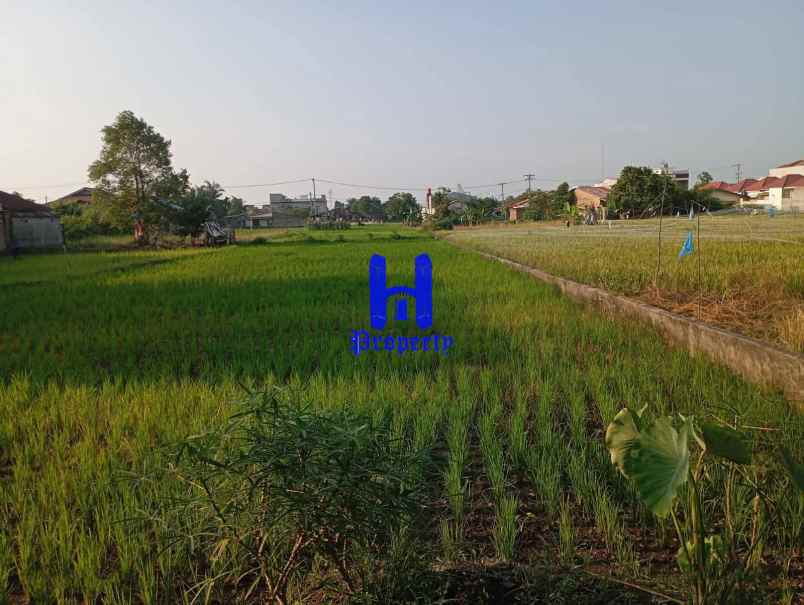 dijual tanah jalan sukarela timur jalan