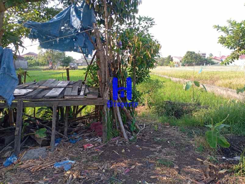 dijual tanah jalan sukarela timur jalan