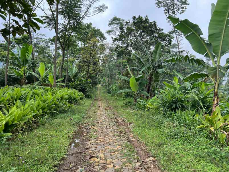 dijual tanah jenawi karanganyar