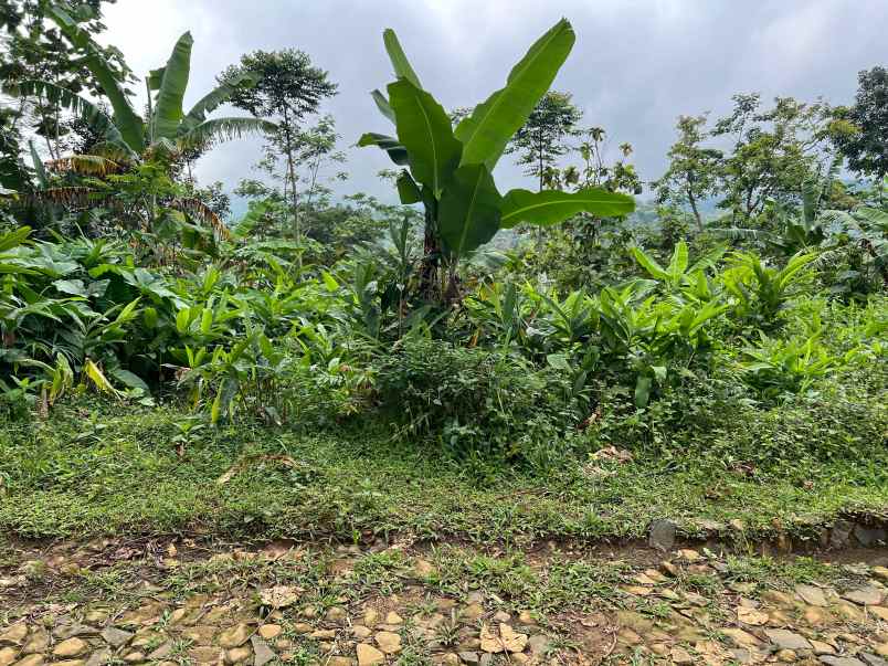 dijual tanah jenawi karanganyar