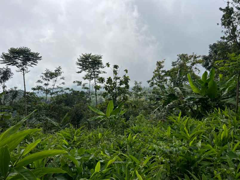 dijual tanah jenawi karanganyar