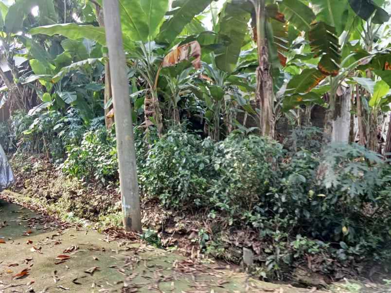 dijual tanah jl bukit cinere raya