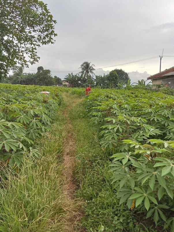 dijual tanah jl cagak satelit