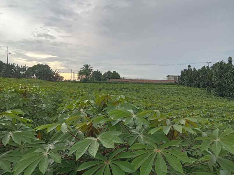 dijual tanah jl cagak satelit