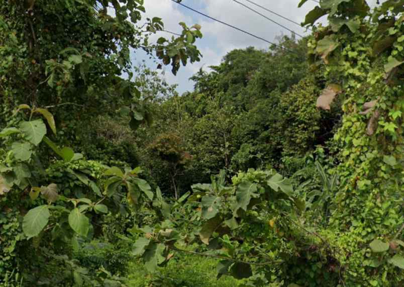dijual tanah jl ciwedus gagunung dekat