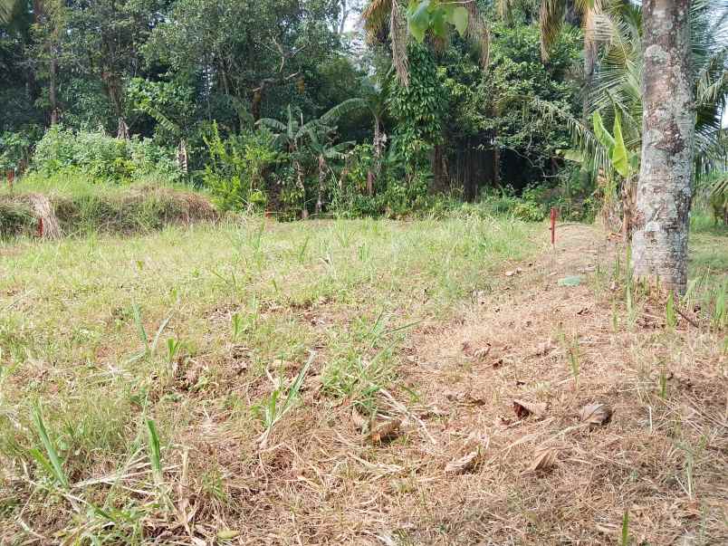 dijual tanah jl kh muhasan 1 meruyung