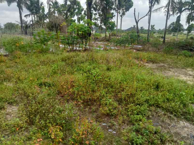 dijual tanah jl naga sakti