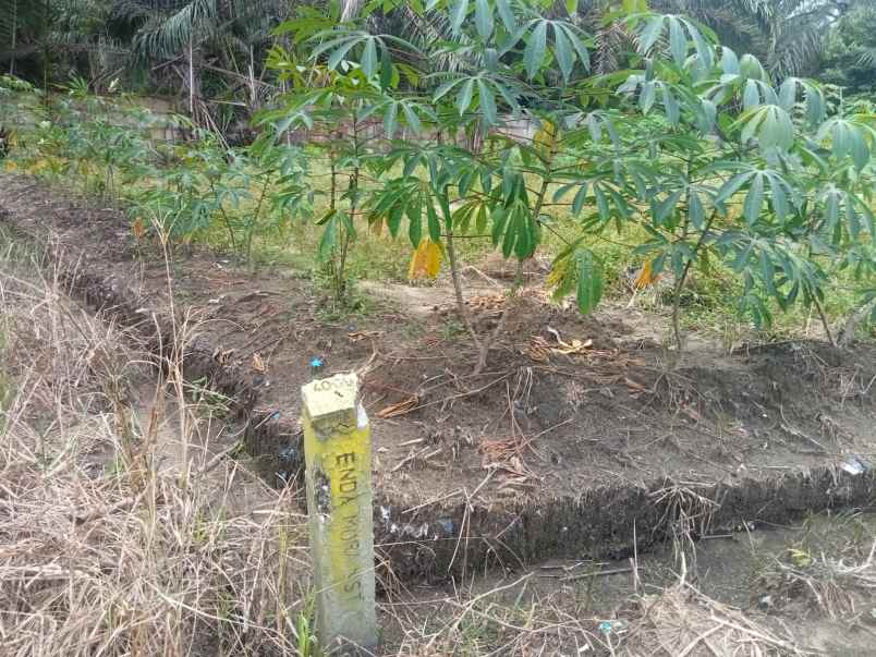 dijual tanah jl naga sakti