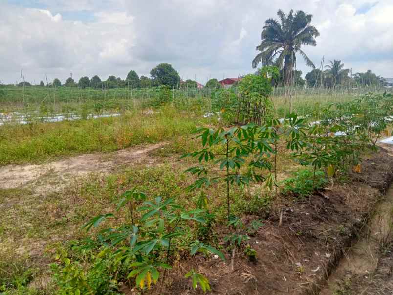 dijual tanah jl naga sakti