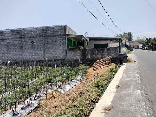 dijual tanah jl nambongan caturharjo