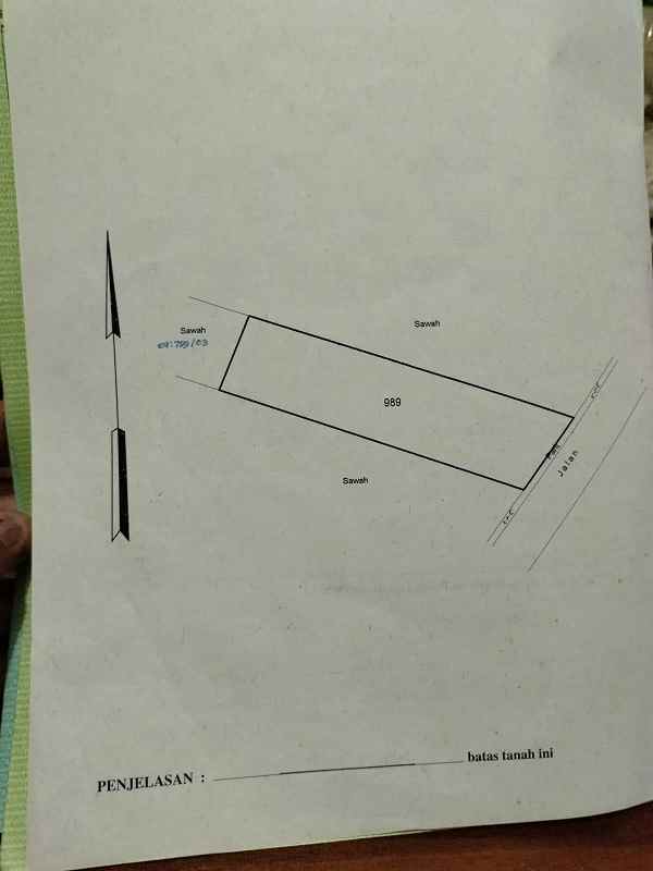 dijual tanah jl nambongan caturharjo