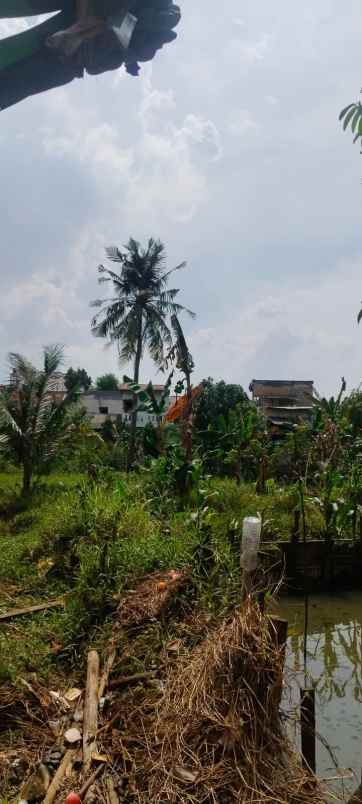 dijual tanah jl nangka gg belong