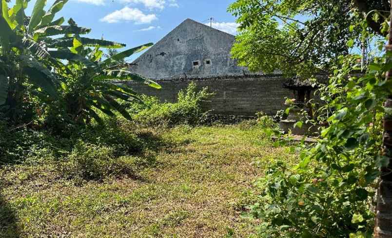 dijual tanah jl raya singaraja