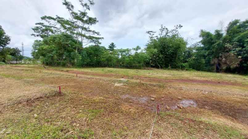 dijual tanah jl raya tajur halang bogor