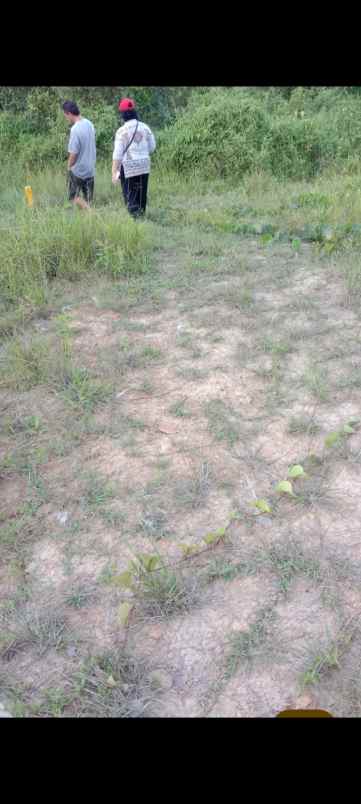 dijual tanah jl silas belakang distrik