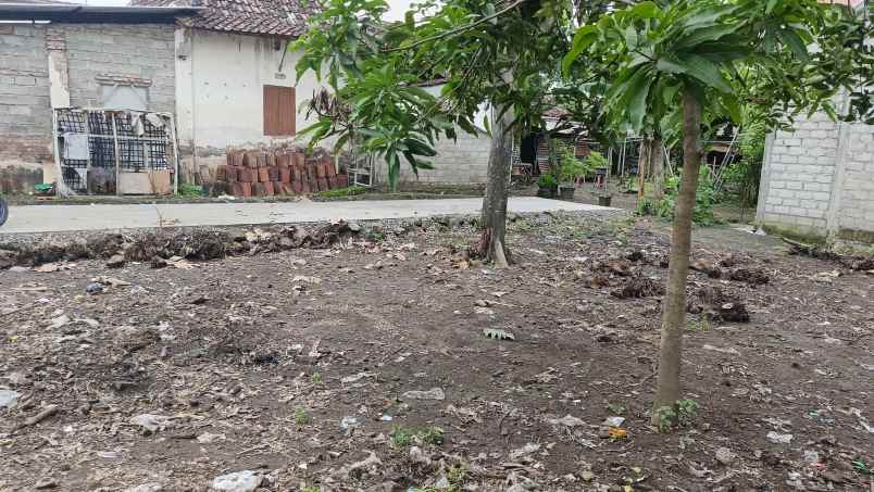 dijual tanah kalikotes kalikotes klaten