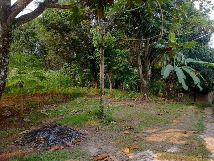 dijual tanah kalisuren