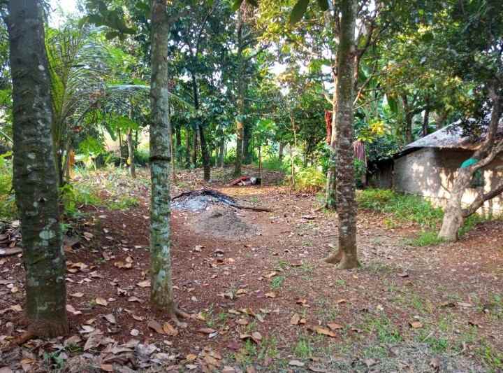 dijual tanah kalisuren