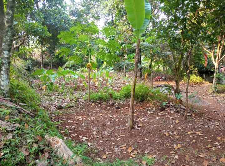 dijual tanah kalisuren