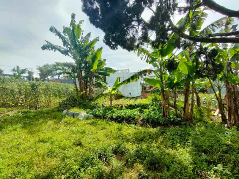 dijual tanah kec parongpong