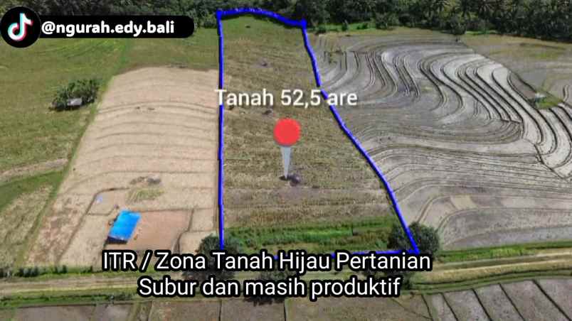 dijual tanah kecamatan selemadeg