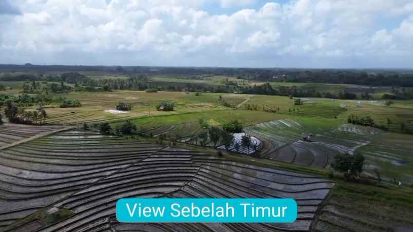 dijual tanah kecamatan selemadeg