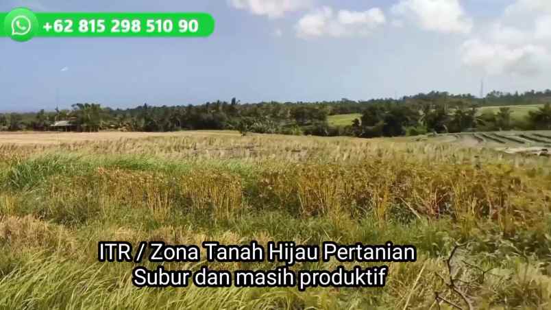 dijual tanah kecamatan selemadeg
