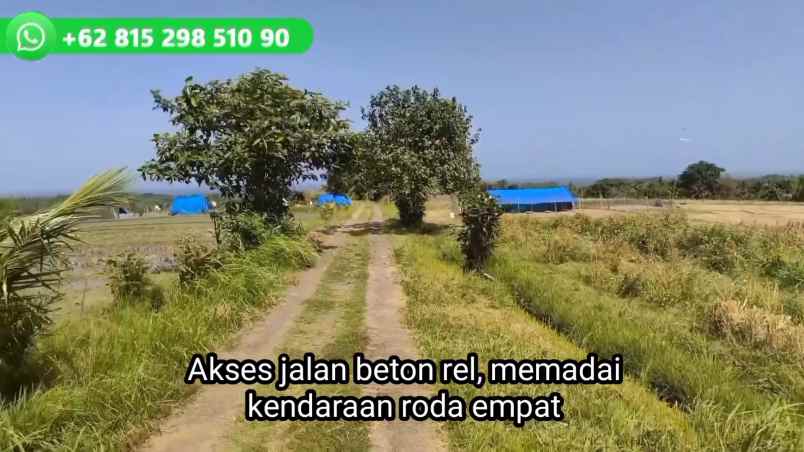 dijual tanah kecamatan selemadeg