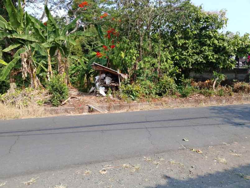 dijual tanah kelating tabanan bali