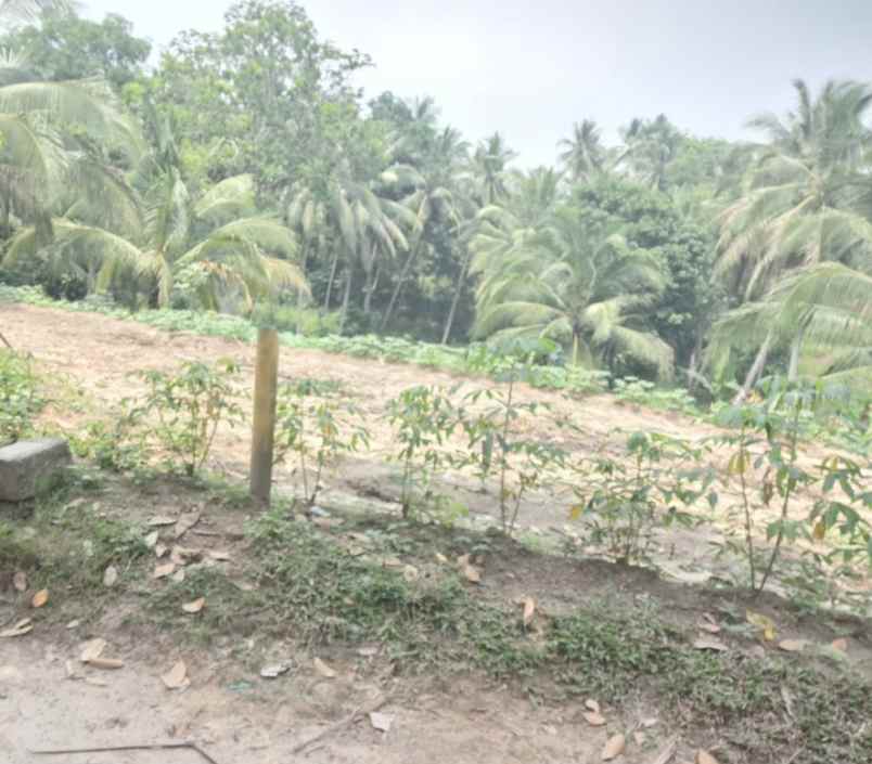 dijual tanah kelurahan sigedong