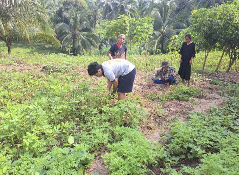 dijual tanah kelurahan sigedong