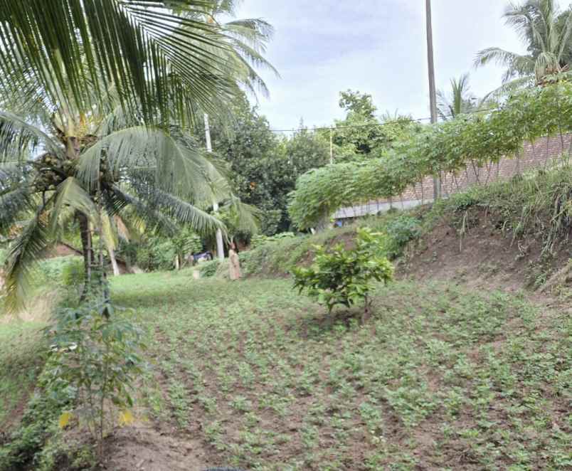 dijual tanah kelurahan sigedong