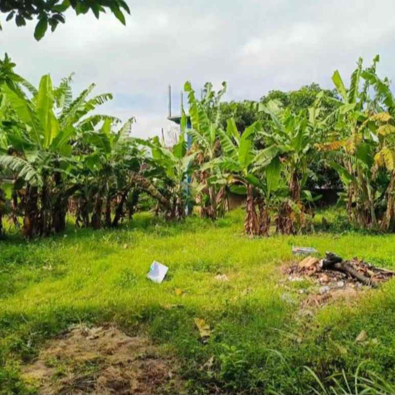 dijual tanah kerobokan canggu