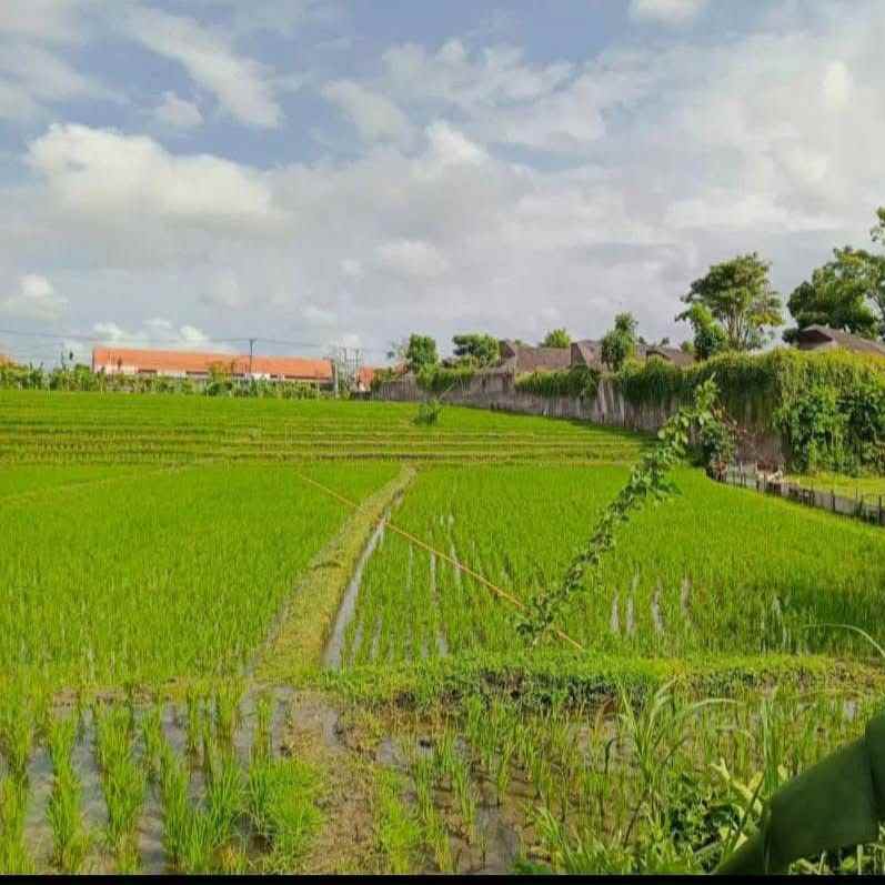 dijual tanah kerobokan canggu