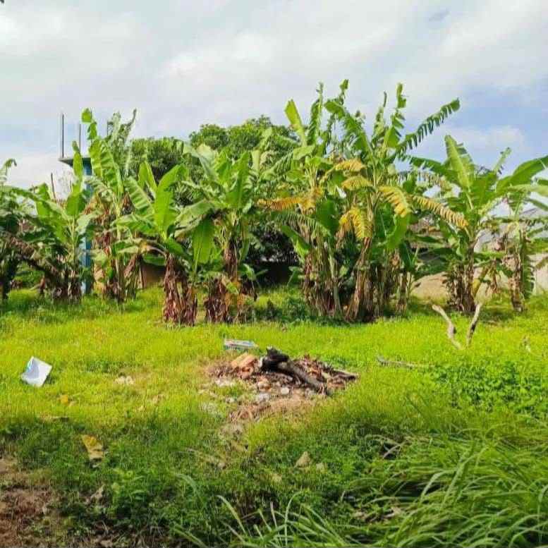 dijual tanah kerobokan canggu