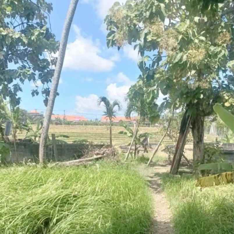 dijual tanah kerobokan canggu