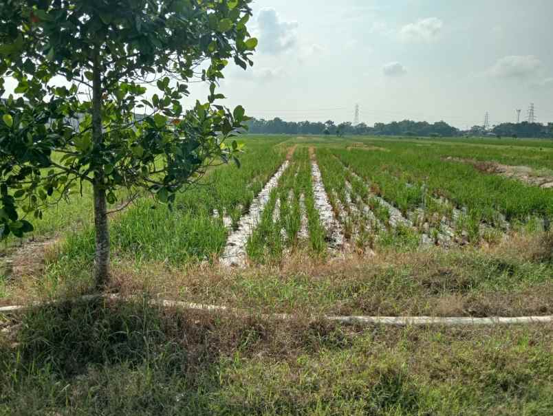 dijual tanah kosong dekat itb arjawinangun