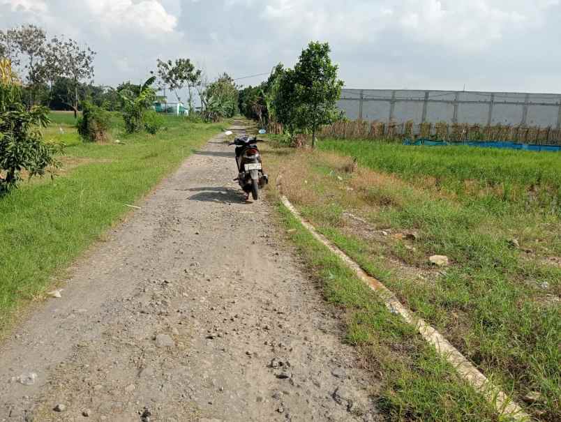 dijual tanah kosong dekat itb arjawinangun