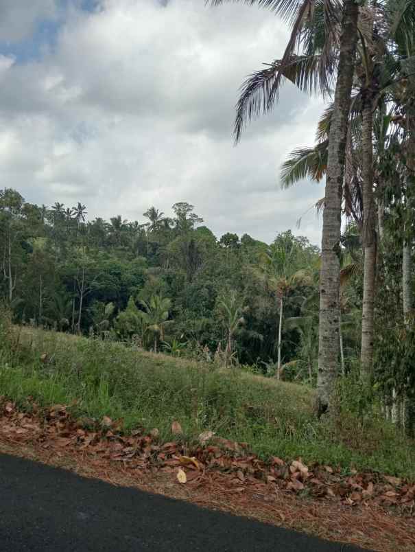 dijual tanah lokasi strategis di wongayagede