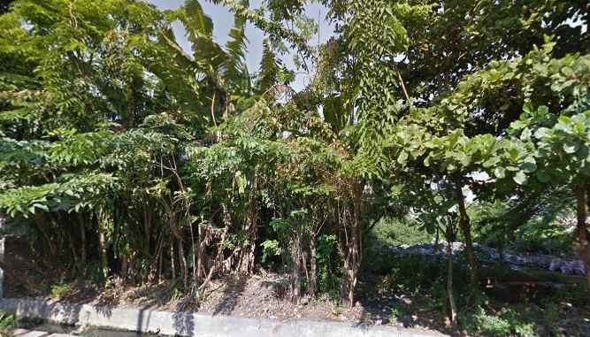 dijual tanah manyar rejo