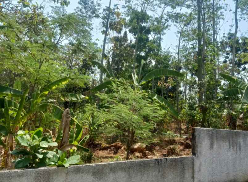 dijual tanah mulawarman tembalang semarang