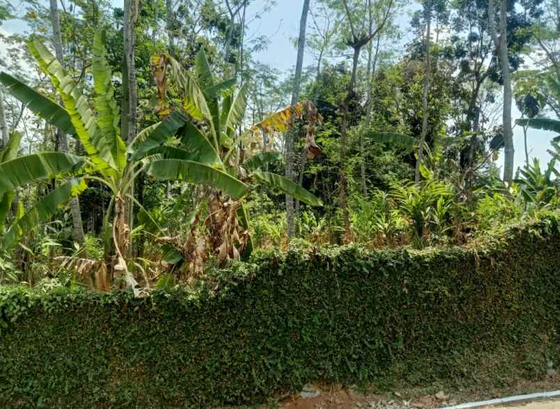 dijual tanah mulawarman tembalang semarang