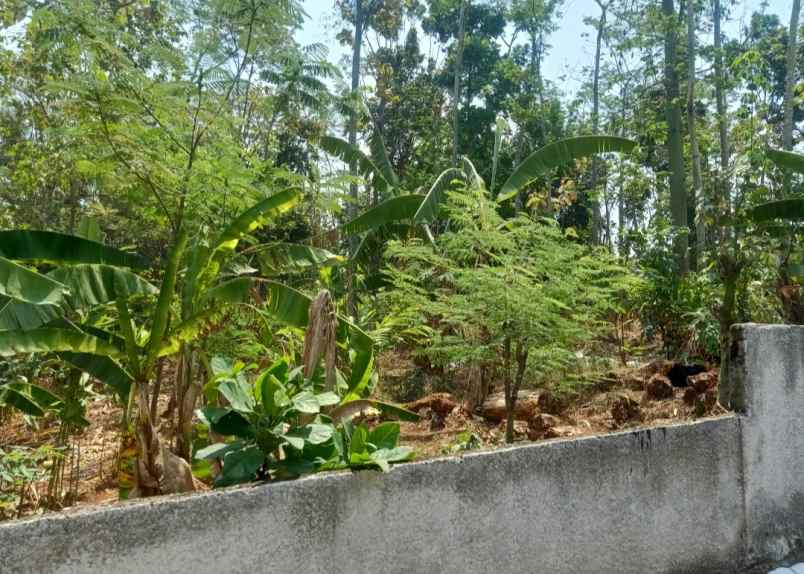 dijual tanah mulawarman tembalang semarang