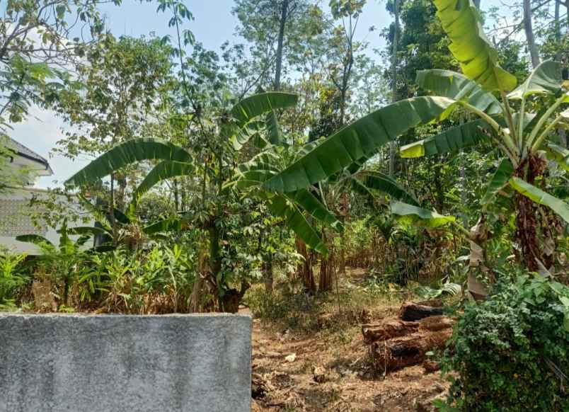 dijual tanah mulawarman tembalang semarang