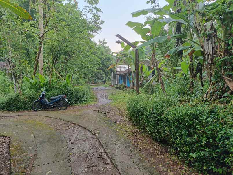 dijual tanah murah purworejo